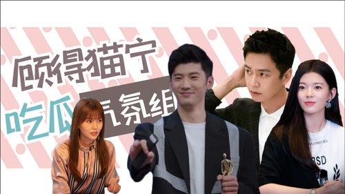 综艺小说多集娱乐圈吃瓜,多集综艺吃瓜大揭秘  第2张