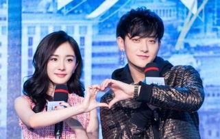 枫丹双子兄妹爆料视频,幕后故事与情感纠葛