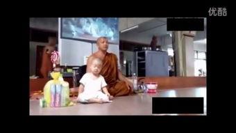 和声在线观看,沉浸式音乐盛宴，云端共享视听盛宴  第2张